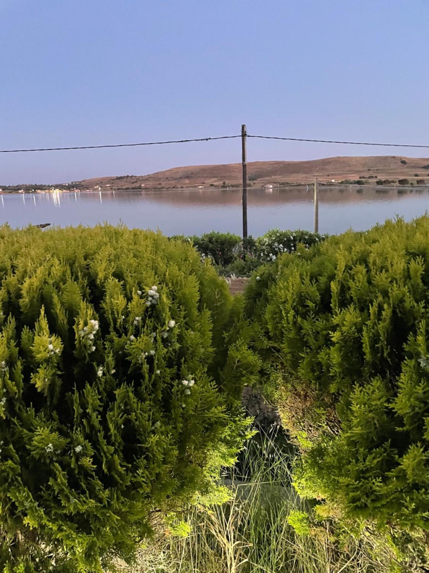 Villa Lagosta Város エクステリア 写真